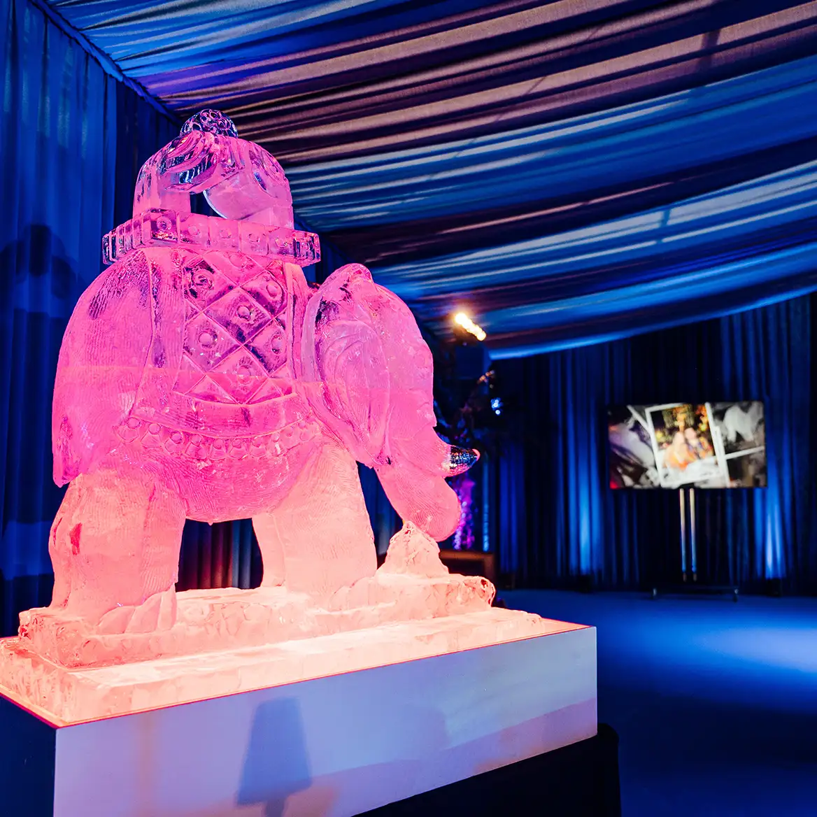 Indian Elephant ice sculpture