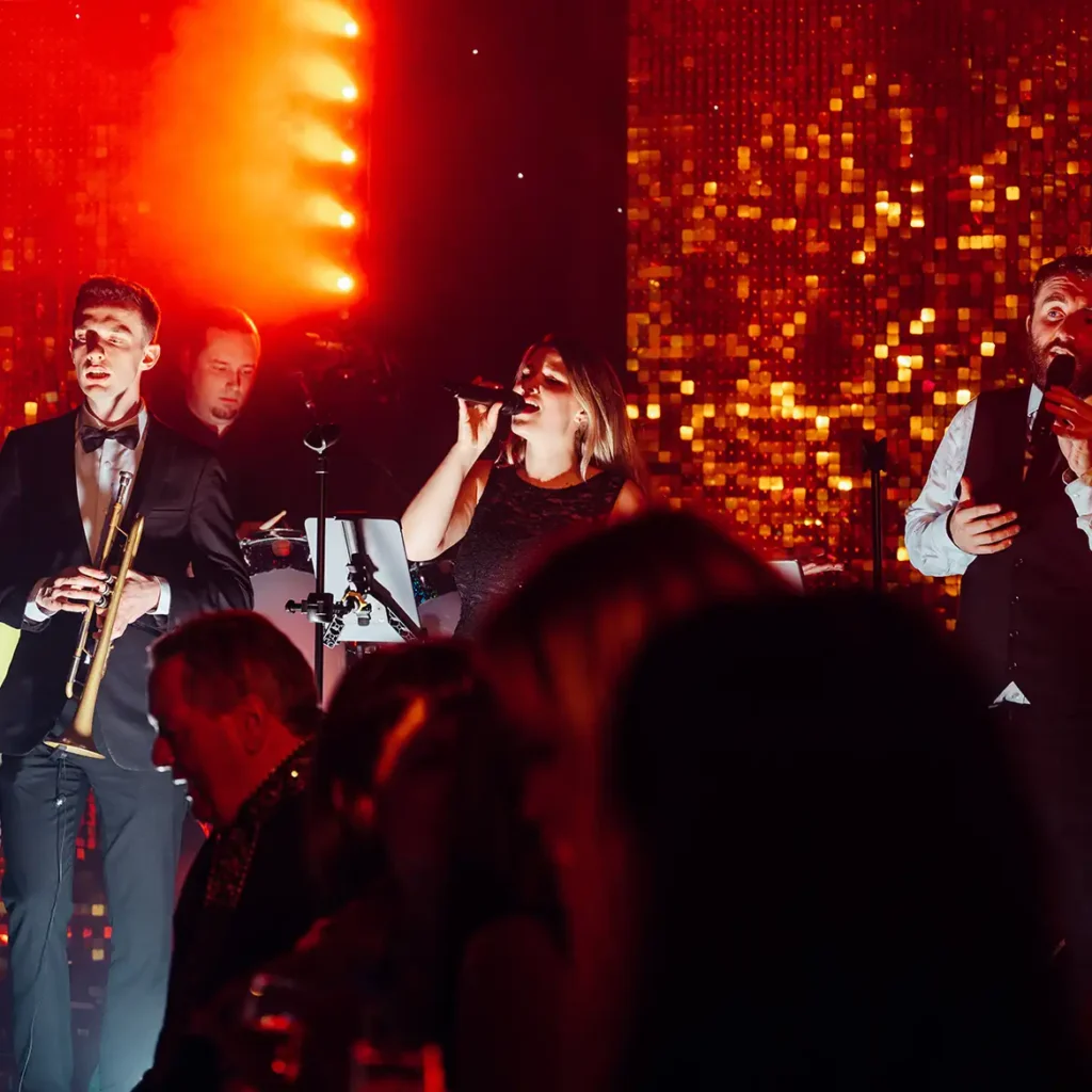 Entertainment for birthday party