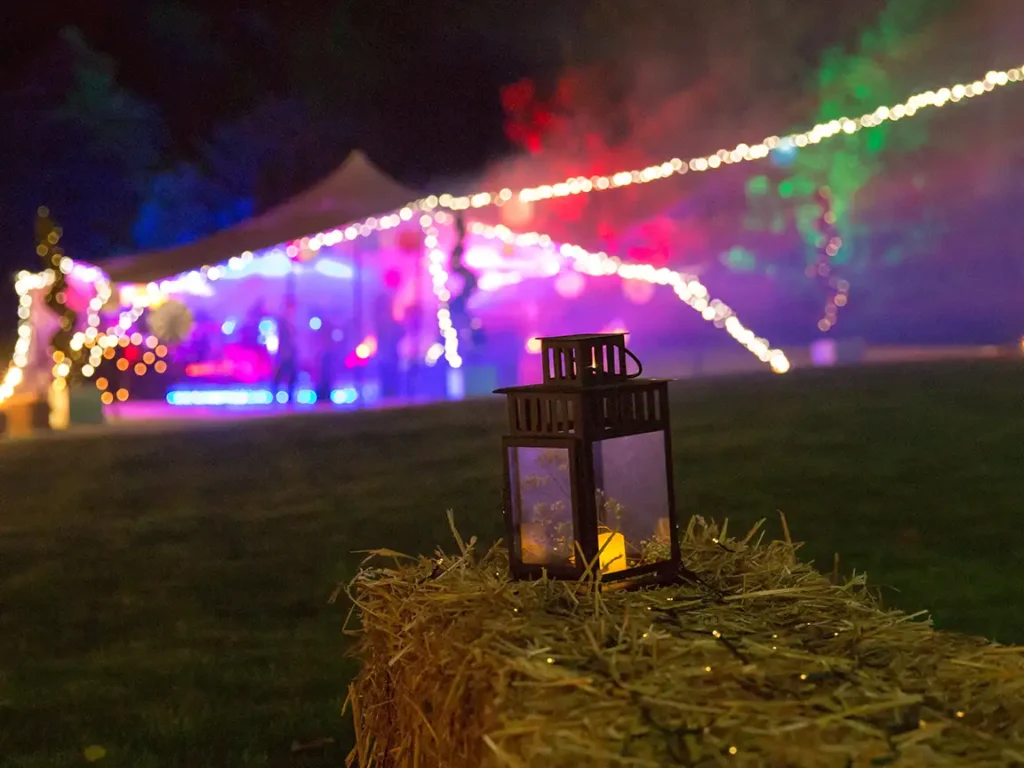 60th birthday festival themed