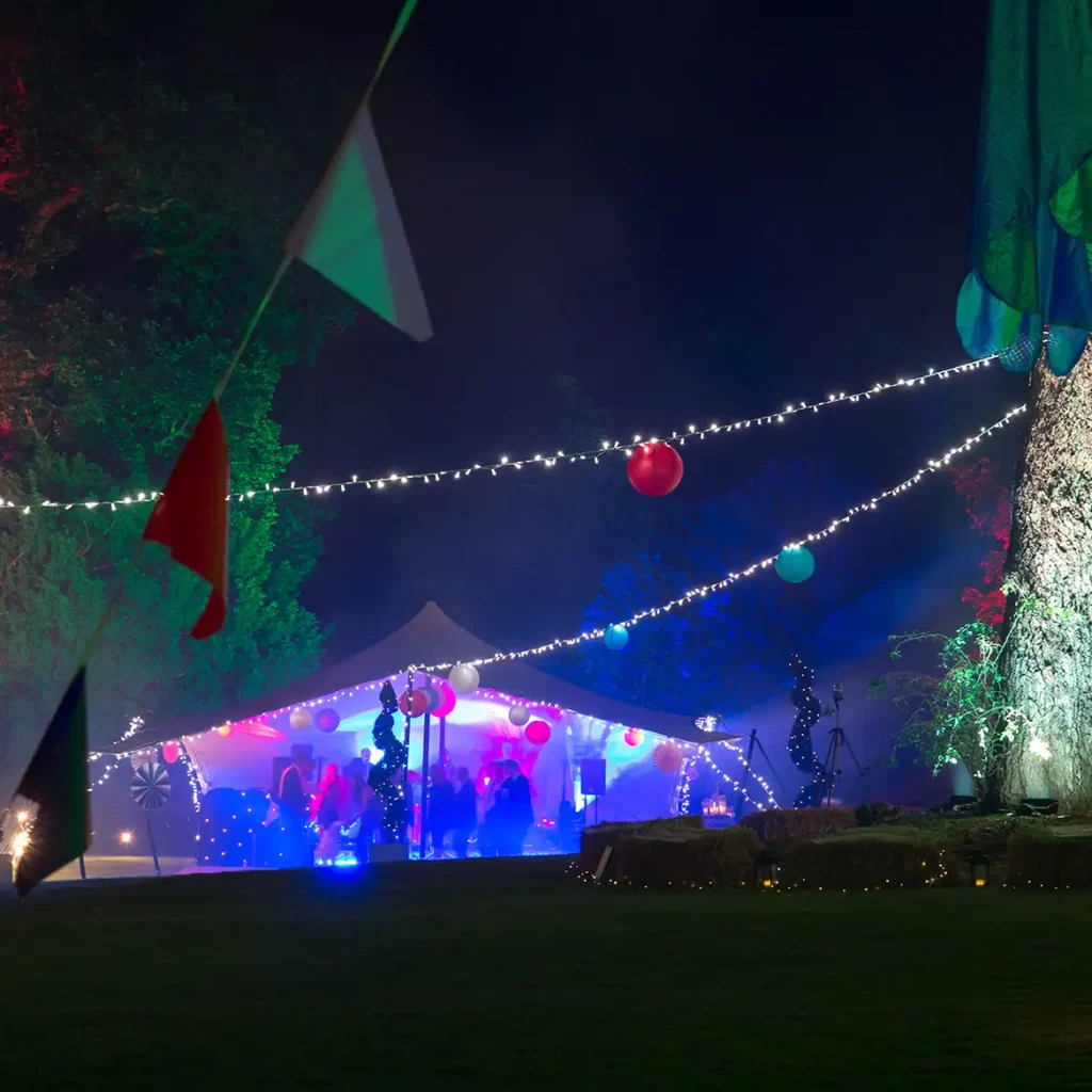 Evening at festival themed birthday