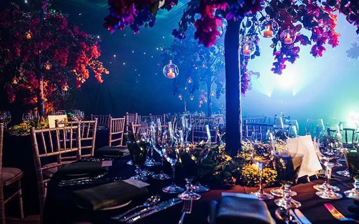 Immersive forest dining experience set up