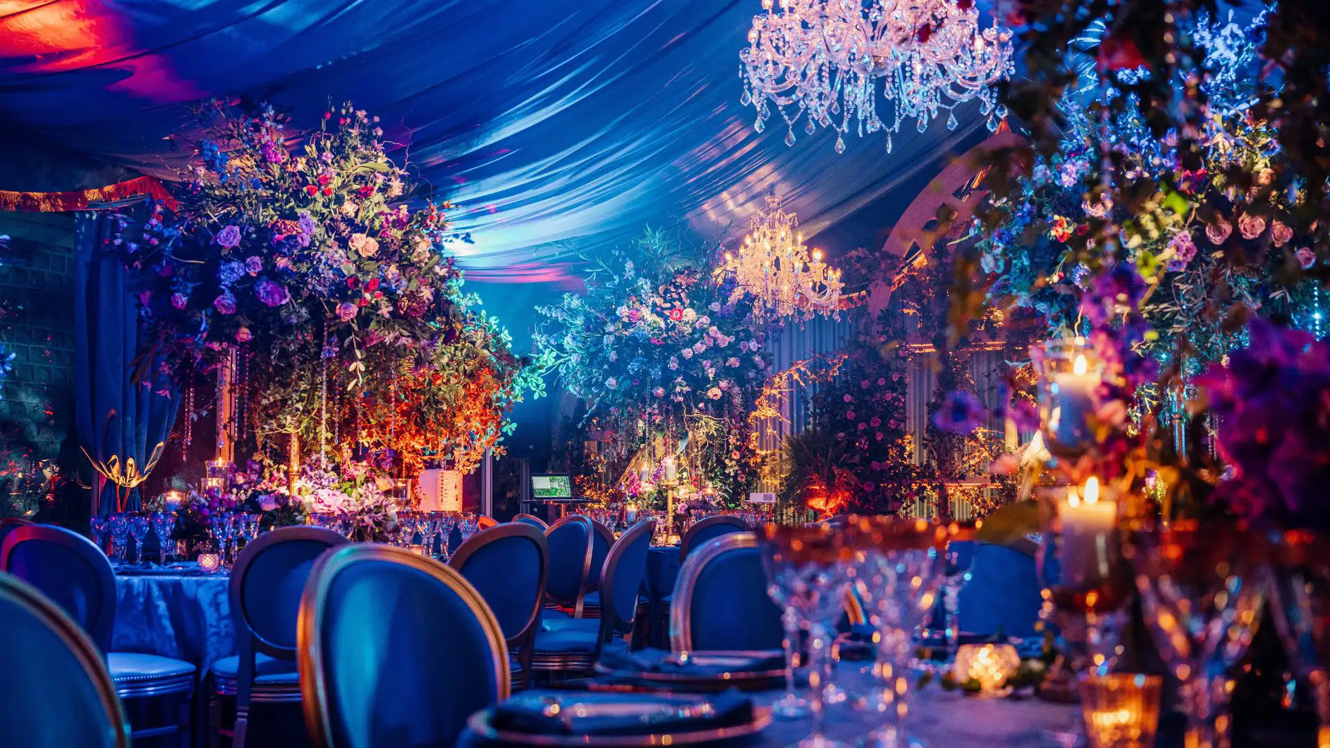 Immersive area with greenery props