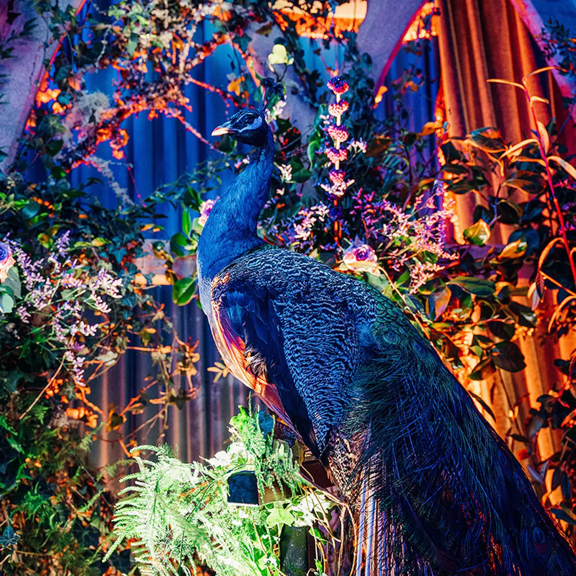 Bespoke luxury party planning