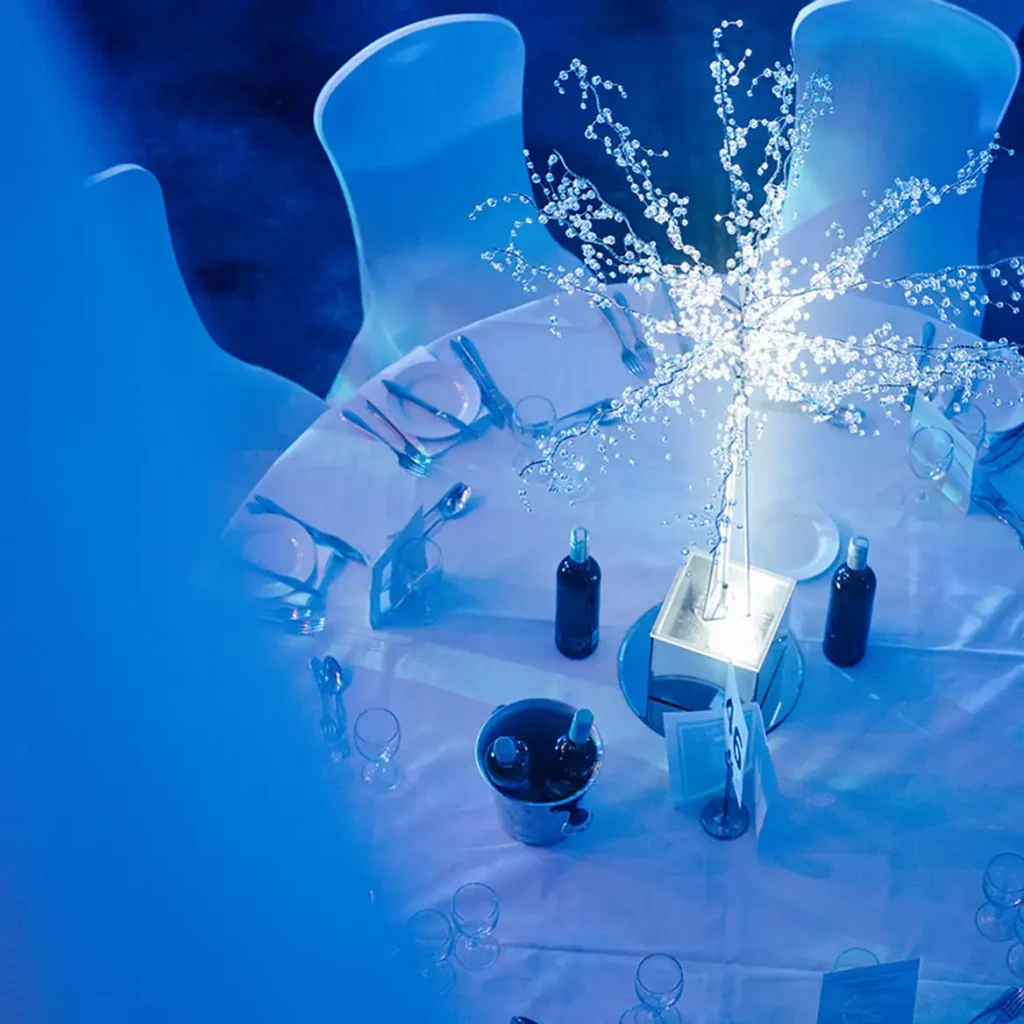 Corporate Christmas party