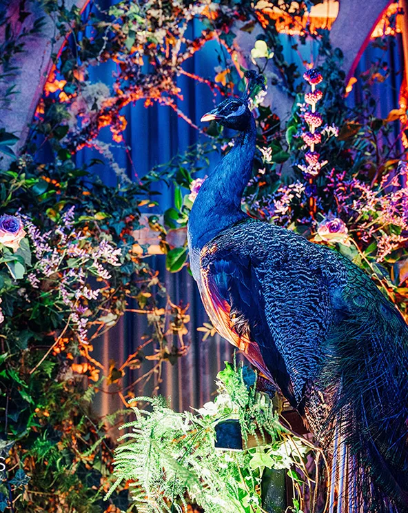 Event theming and decor