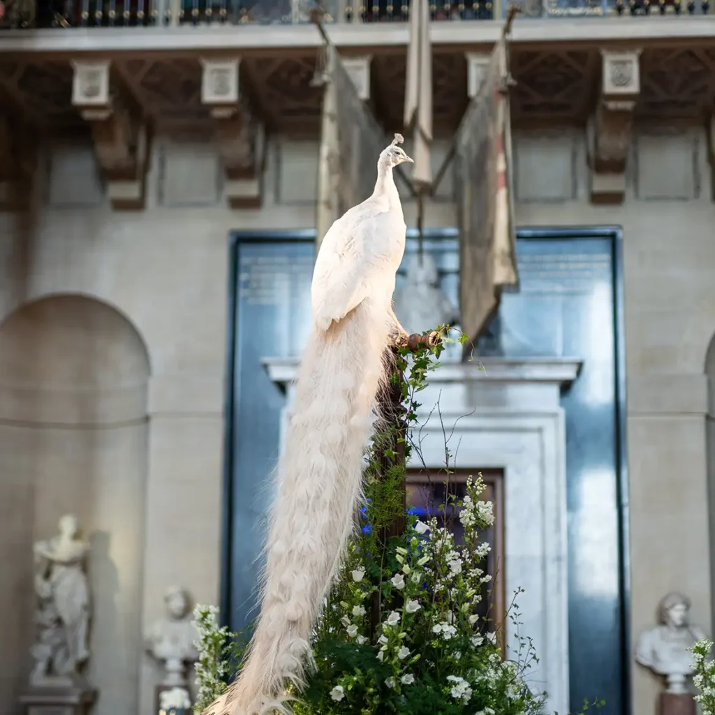 Royal menagerie theme