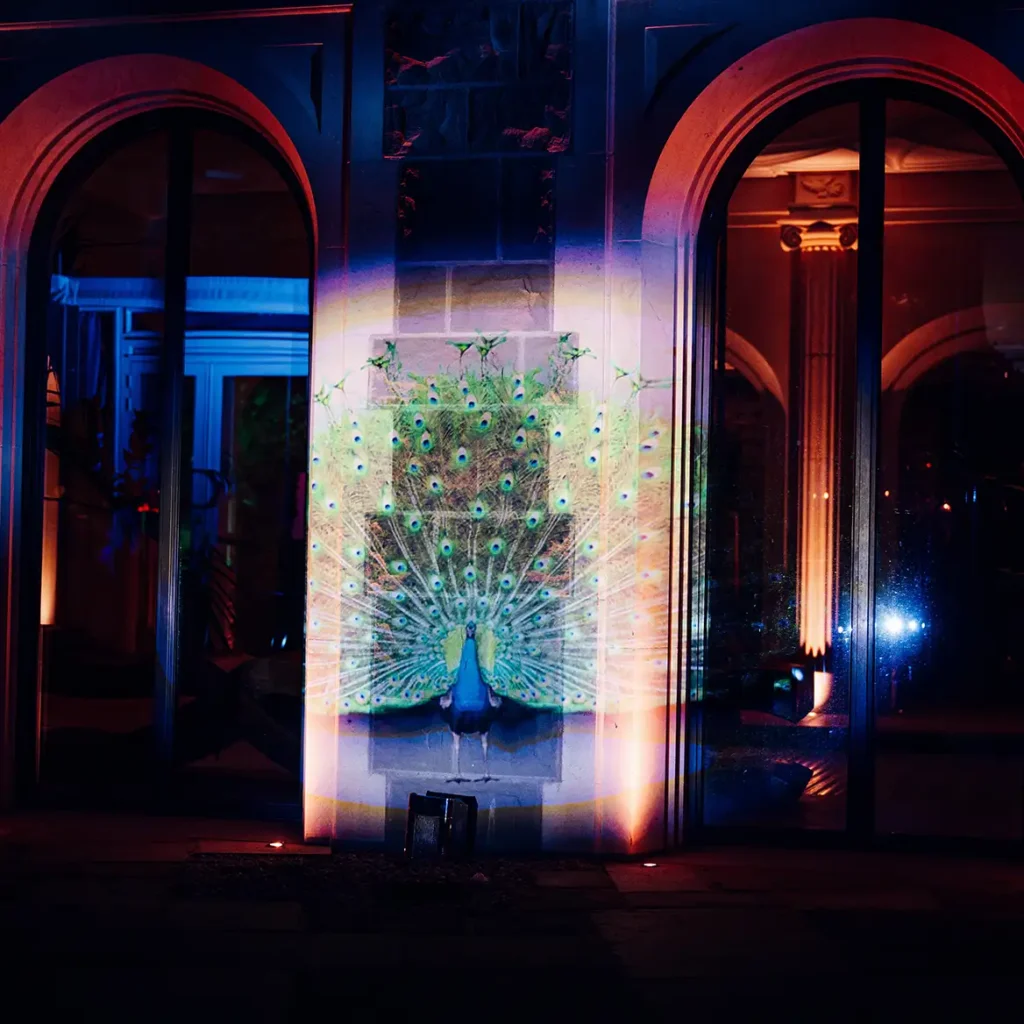 Peacock projection mapping