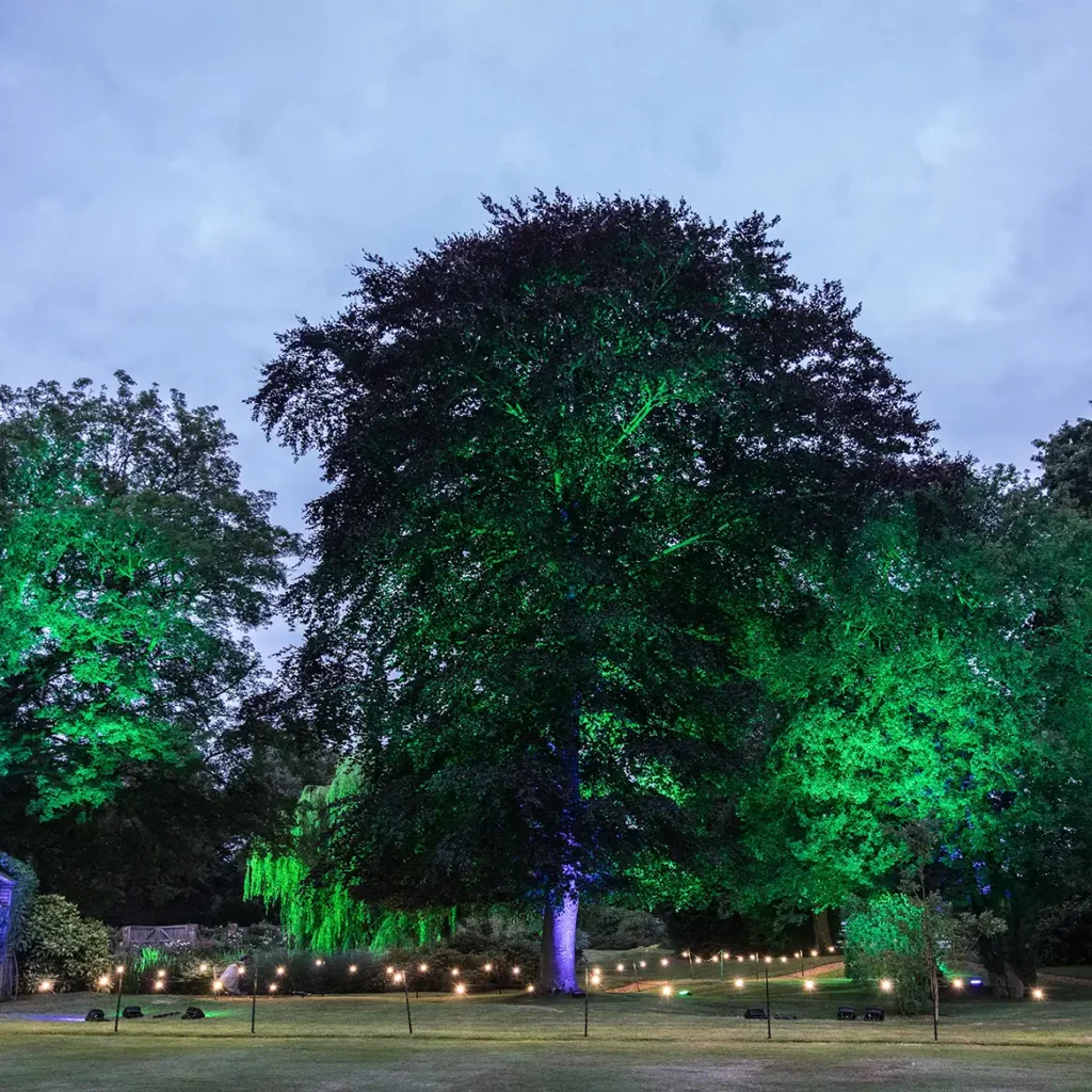 Garden lighting scheme