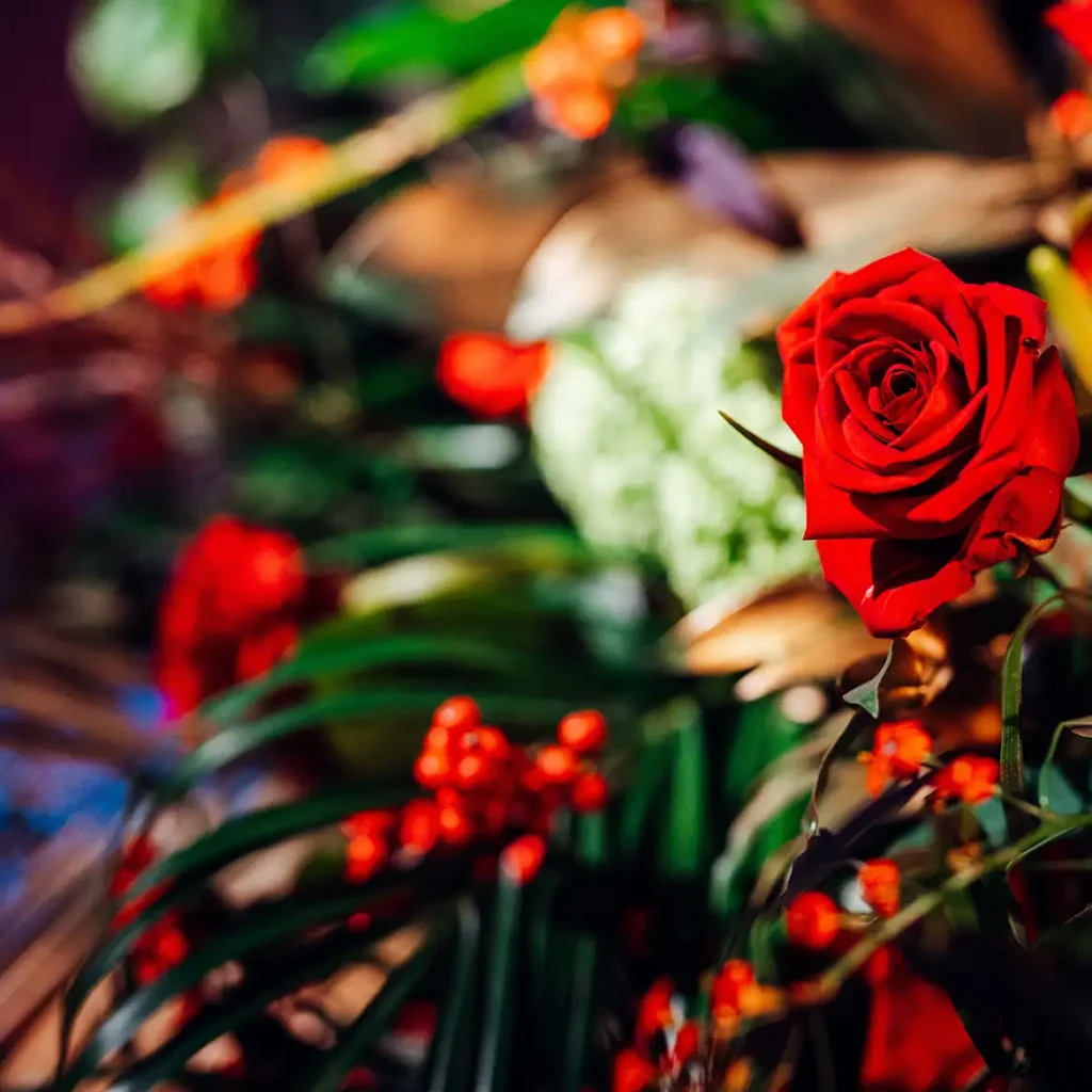 Red roses and tropical greenery