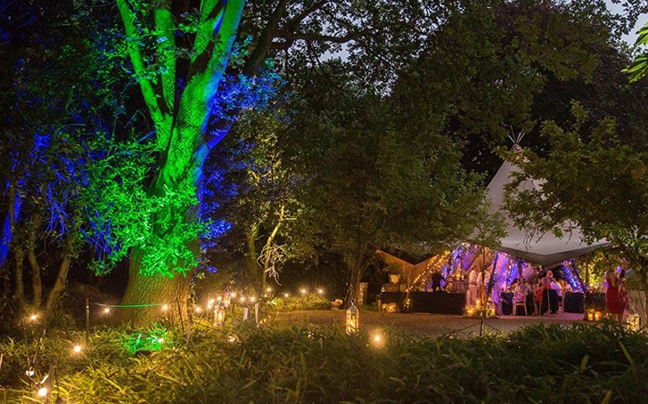 It's important to have a vision for your party experience