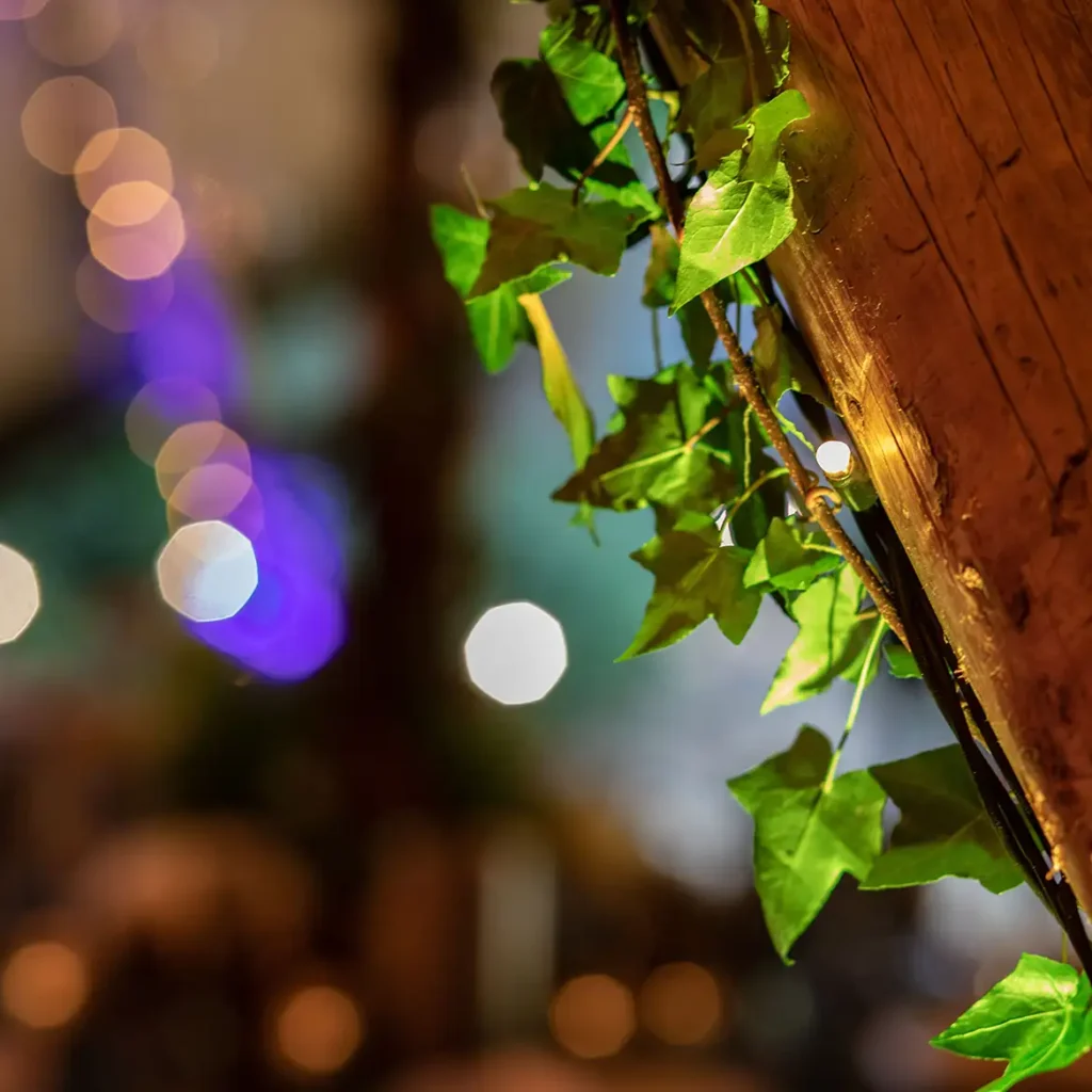 Green foliage and fairy lights