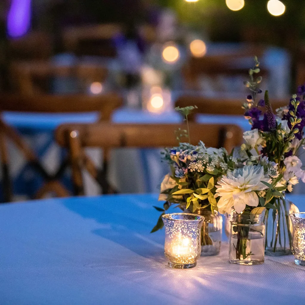 Beautiful evening lighting scheme for garden event
