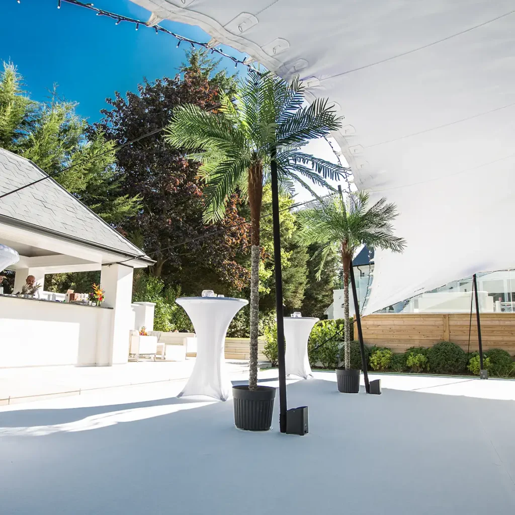 Stretch Tent with palm trees