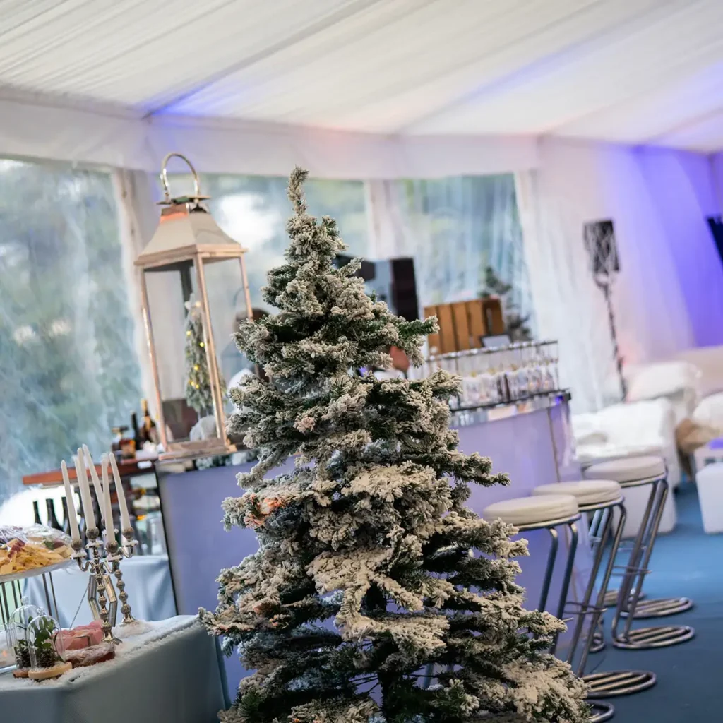 Marquee with Christmas trees