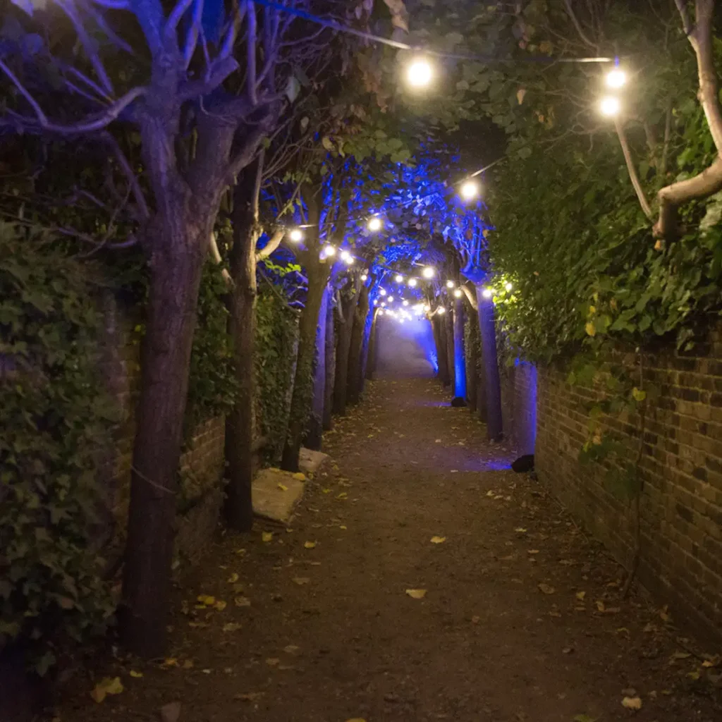 Entrance with festoon lights