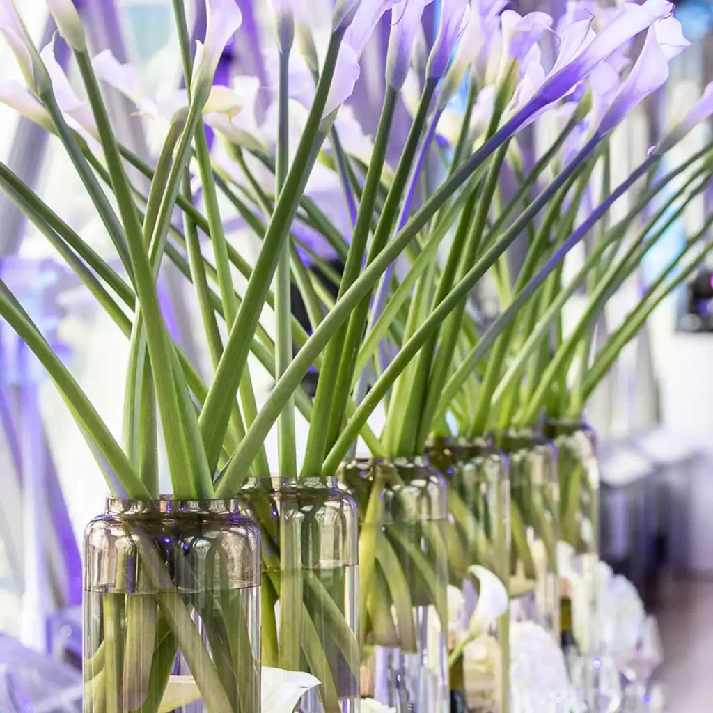 Tall lillies in vases on tables