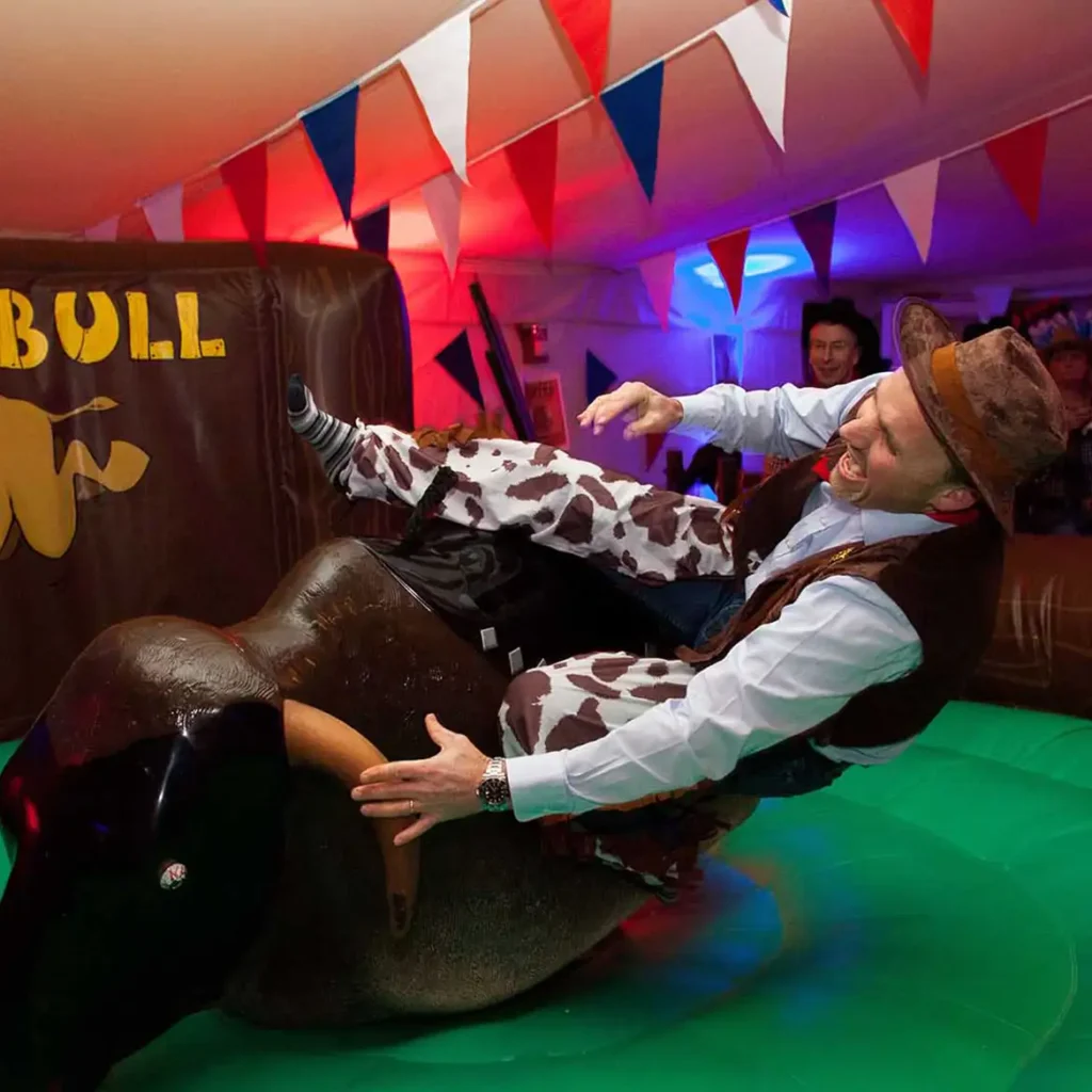 Rodeo bull in action with guest