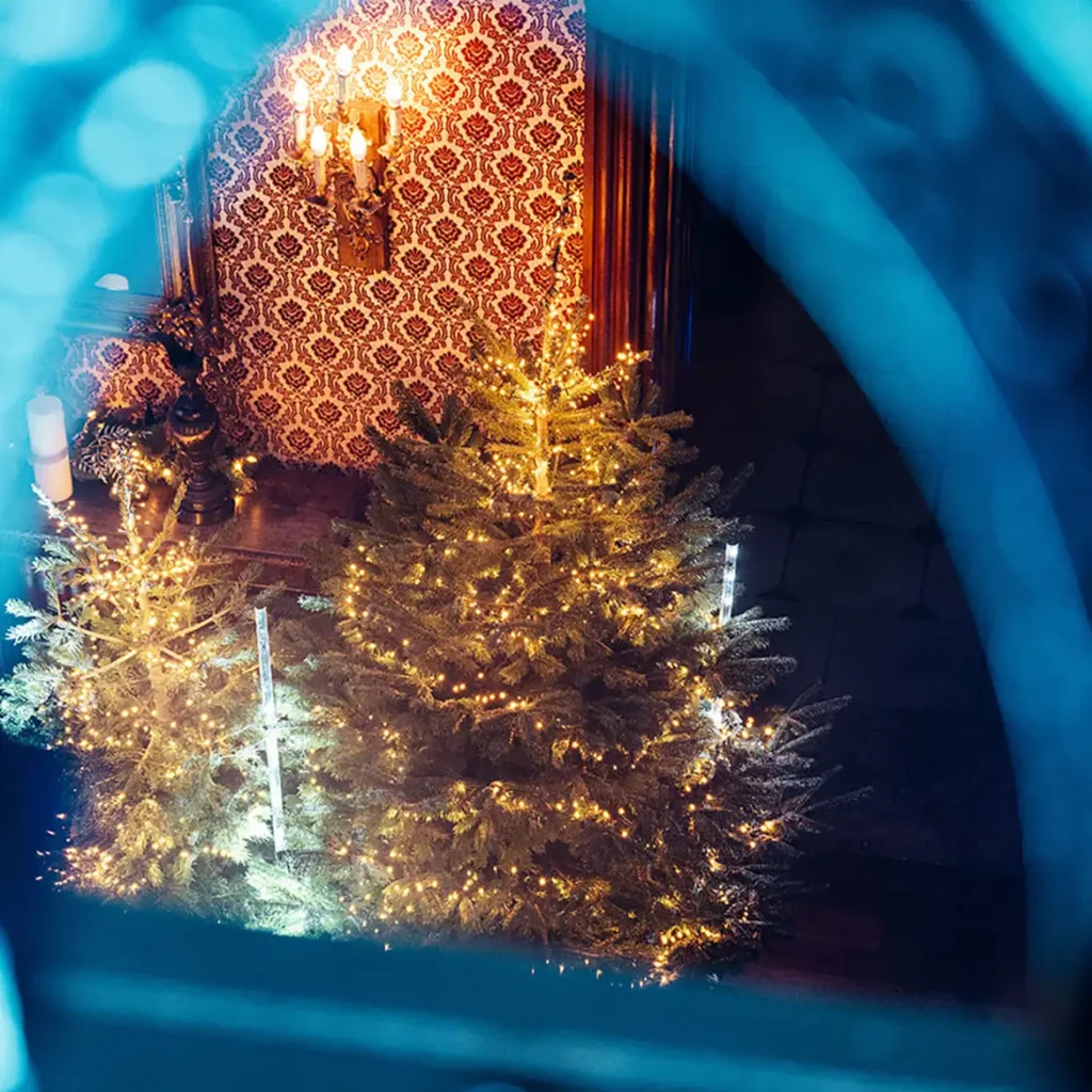 Christmas Winter Wonderland cecor