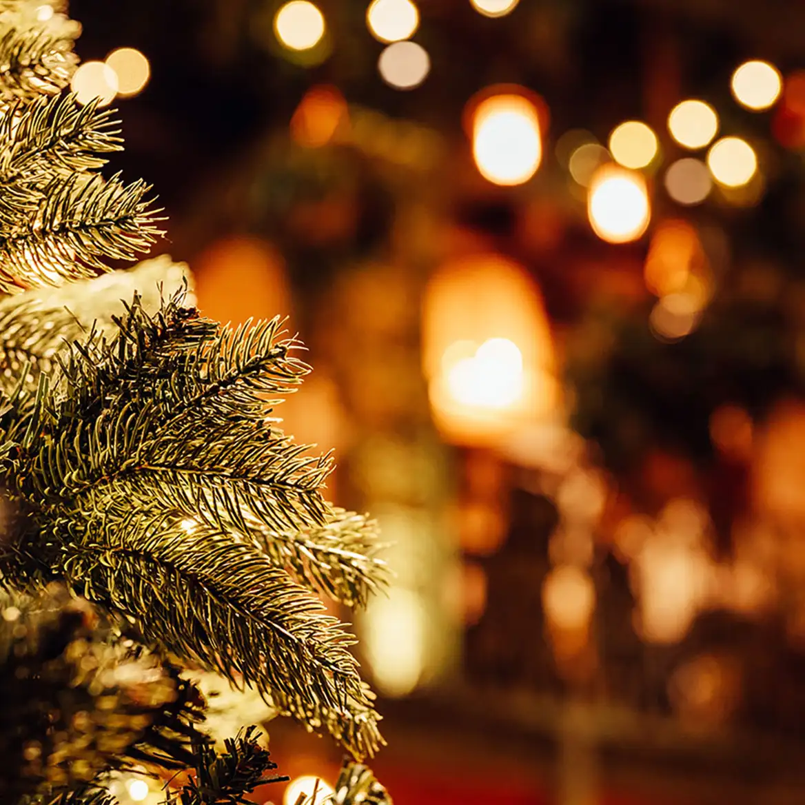 Christmas tree with fairy lights